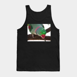 Rose-ringed Parakeet Tank Top